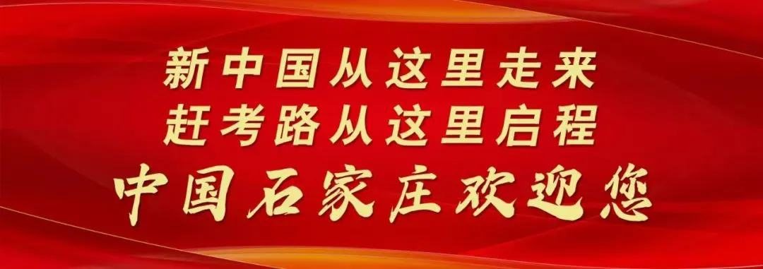 绳梯训练篮球_1